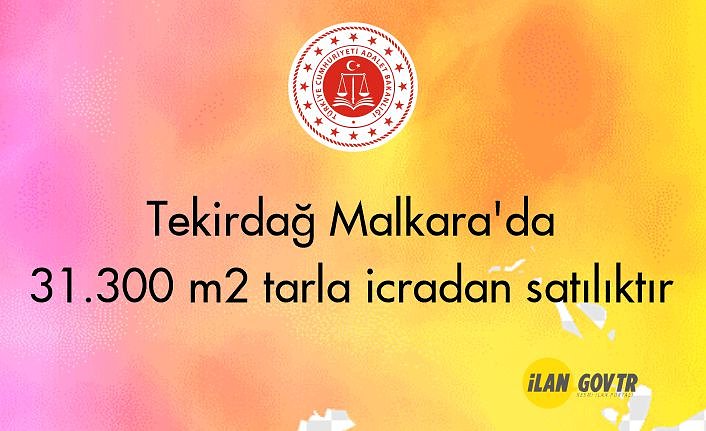 Tekirdağ Malkara'da 31.300 m² tarla icradan satılıktır