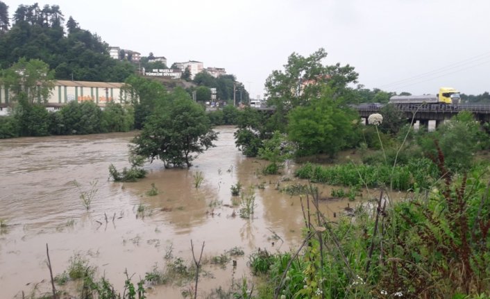Zonguldak'ta sağanak nedeniyle ırmak taştı, tarım arazileri su altında kaldı