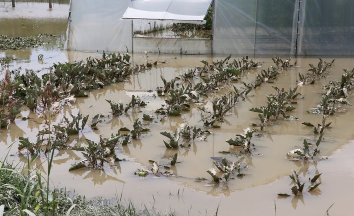 Zonguldak'ta selden etkilenen alanlarda temizlik ve hasar tespiti sürüyor