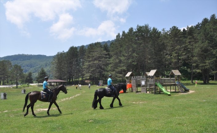 Abant'ta jandarmanın atlı timleri göreve başladı