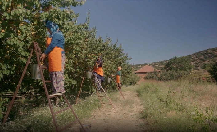 Antalyalı kadın üreticilerin meyveleri Migros raflarında