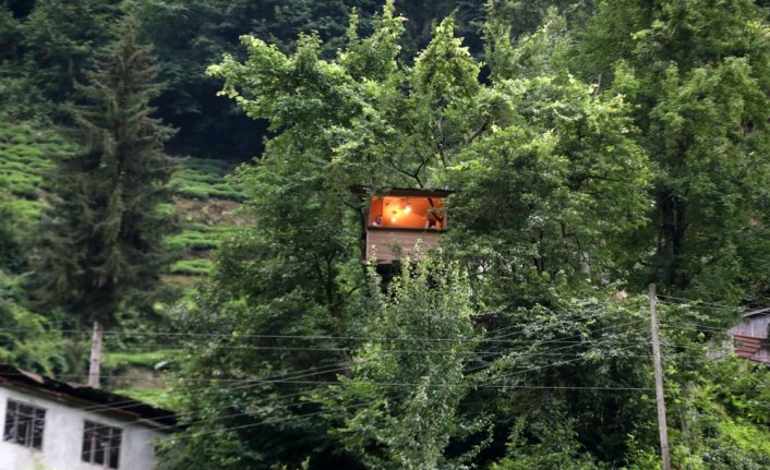 Dört ağacın gövdesine bağlı, yerden 20 metre yüksekte ev yaptı