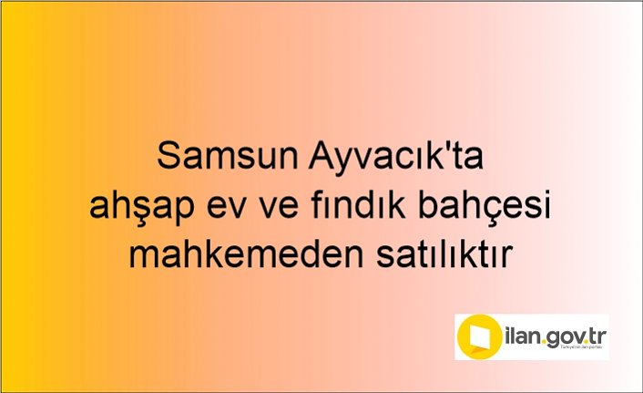 Samsun Ayvacık'ta ahşap ev ve fındık bahçesi mahkemeden satılıktır