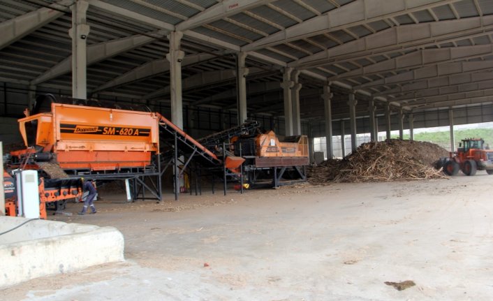 Selin getirdiği ağaç parçaları Sinop'ta enerjiye dönüştürülüyor