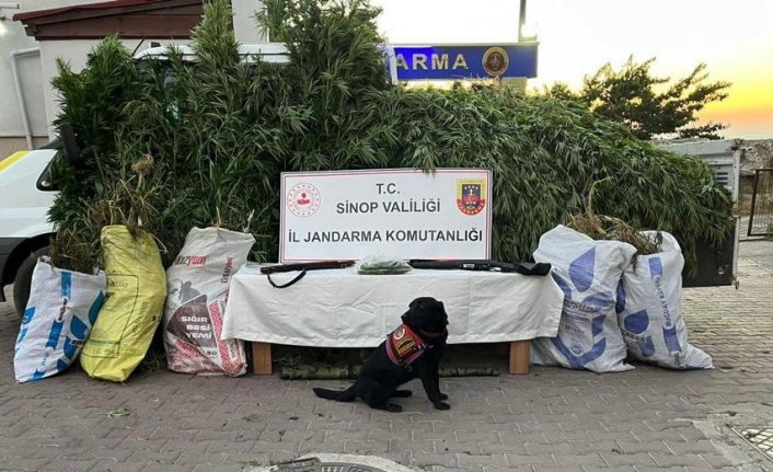 Sinop'ta 19 kilogram kubar esrar ele geçirildi