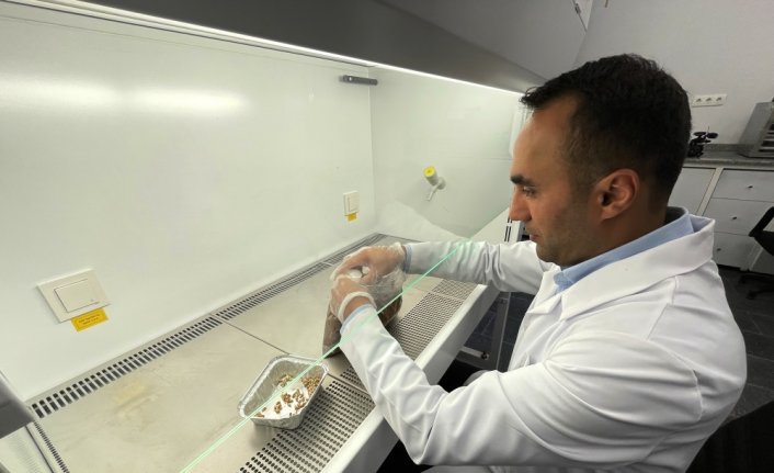 Tarımsal atıklar kompost gübre ve malça dönüştürülerek ekonomiye kazandırılıyor