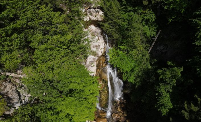 Yeşilin tonları arasındaki şelale: Kızılcasu