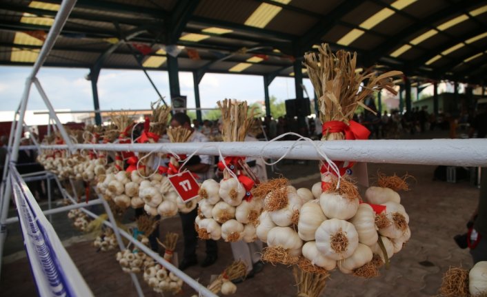 34. Uluslararası Taşköprü Kültür ve Sarımsak Festivali