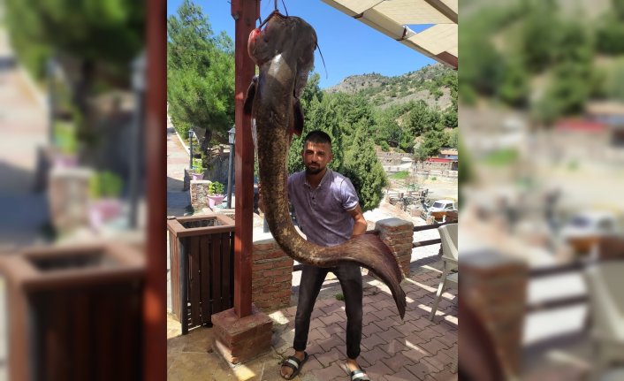Çorum'daki Obruk baraj gölünde 50 kiloluk yayın balığı yakalandı
