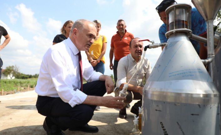 Düzce'de ekilen tıbbi aromatik bitkilerden yağ alınmaya başlandı