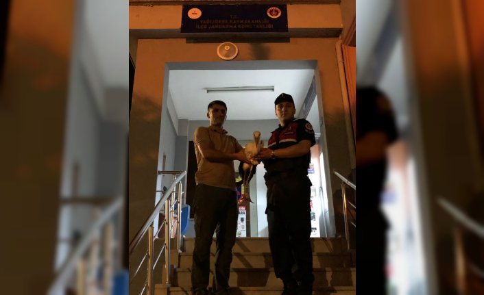 Giresun'da yorgun düşen leylek koruma altına alındı