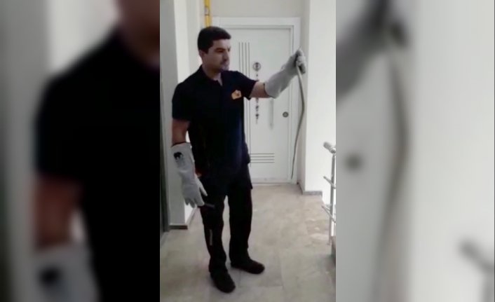 Karabük'te evin dolabında yakalanan yılan doğaya bırakıldı