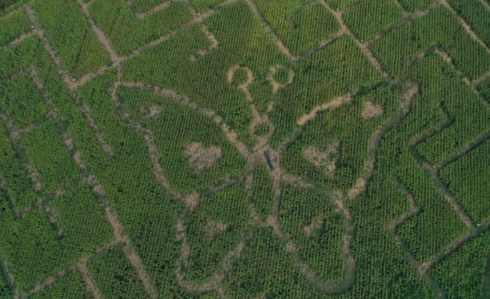 Mısır labirentinden en kolay çıkış çevre sorularını bilmekten geçiyor