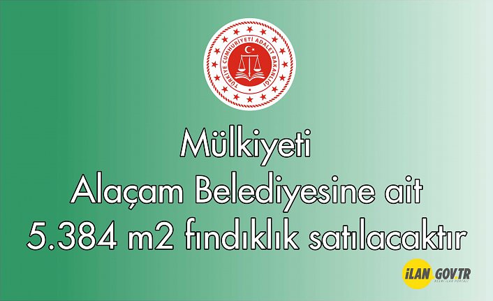 Mülkiyeti Alaçam Belediyesine ait 5.384 m² fındıklık satılacaktır