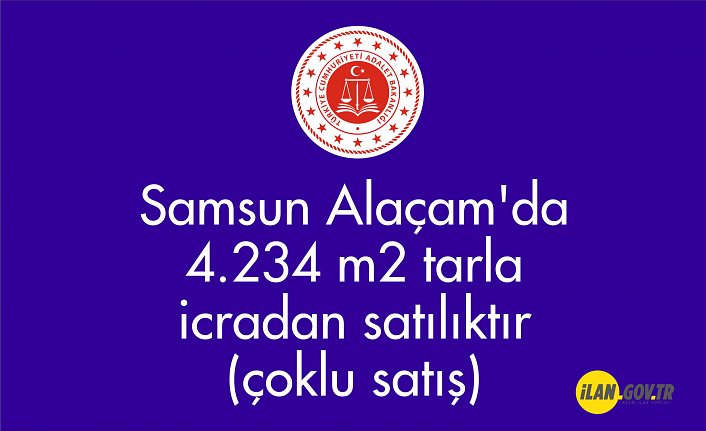 Samsun Alaçam'da 4.234 m² tarla icradan satılıktır (çoklu satış)