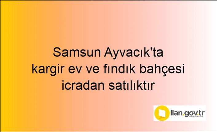 Samsun Ayvacık'ta kargir ev ve fındık bahçesi icradan satılıktır