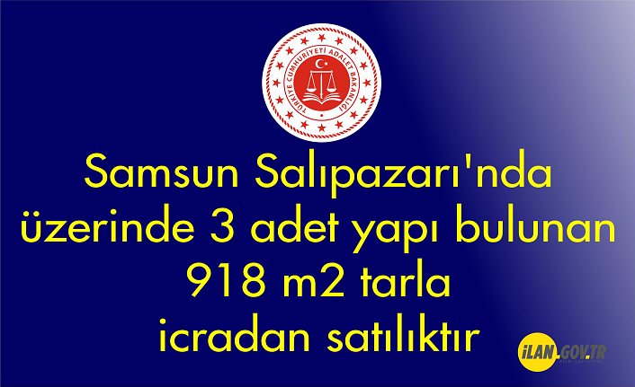 Samsun Salıpazarı'nda üzerinde 3 adet yapı bulunan 918 m² tarla icradan satılıktır