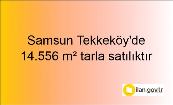 Samsun Tekkeköy'de 14.556 m² tarla mahkemeden satılıktır