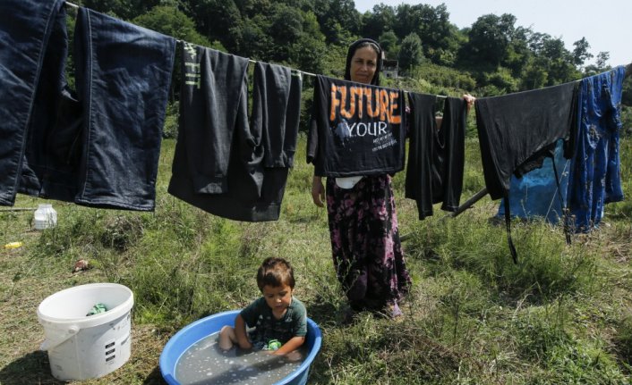 Samsun'da mevsimlik tarım işçilerinin fındık hasadı mesaisi sürüyor