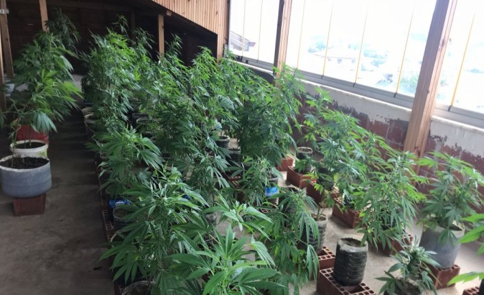 Samsun'da uyuşturucu operasyonlarında 2 kişi yakalandı