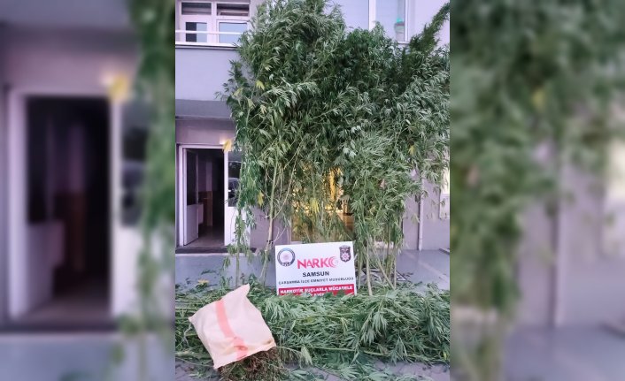Samsun'da uyuşturucu operasyonunda 1 zanlı yakalandı