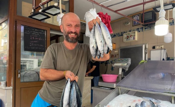 Sinop'ta sezonun ilk palamutları tezgahlardaki yerini aldı