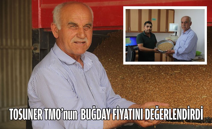 TOSUNER TMO’nun  BUĞDAY FİYATINI DEĞERLENDİRDİ