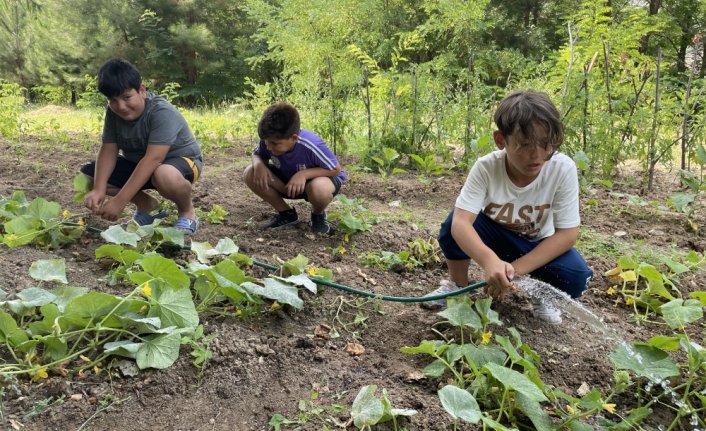 Yaz kampında hem robotik kodlama hem de sebze yetiştirmeyi öğreniyorlar
