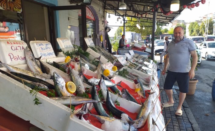 Zonguldak'ta sezonun ilk palamutlarının bolluğu balıkçıları umutlandırdı
