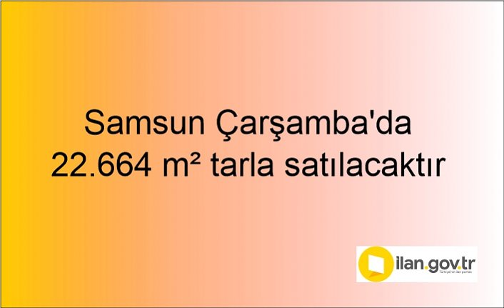 Samsun Çarşamba'da 22.664 m² tarla mahkemeden satılacaktır