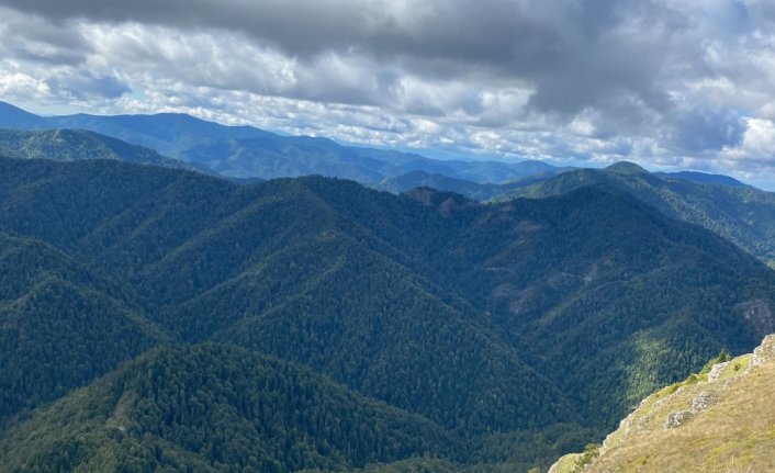 Ayıkayası Tabiat Parkı'nda inceleme yapıldı