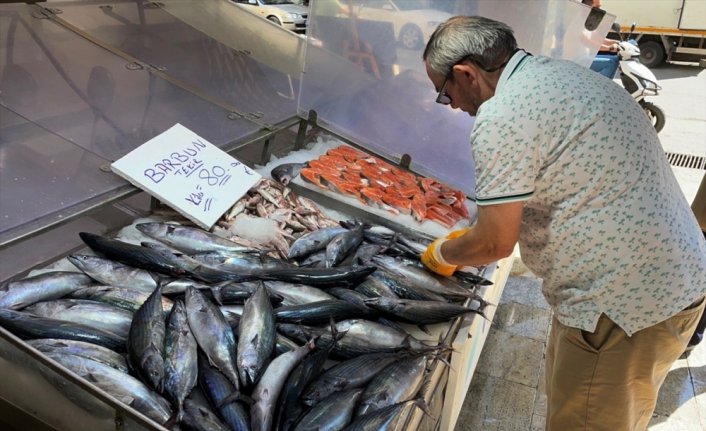 Az miktarda avlanan palamudun tane fiyatı 80 liraya kadar yükseldi