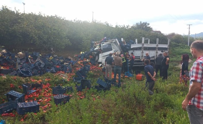 Düzce'de elektrik direğine çarpan kamyonetin sürücüsü ağır yaralandı