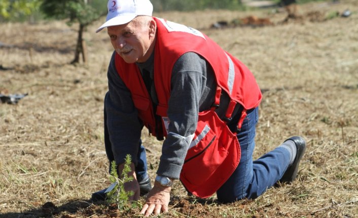 Düzce'de huzurevi sakinleri fidan dikti