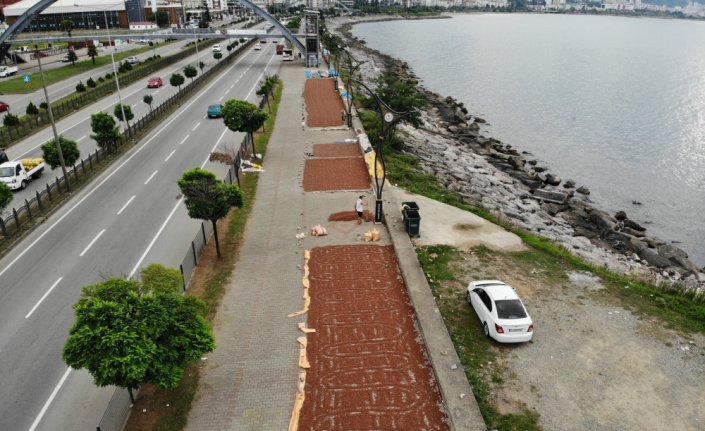 Giresun'da üreticilerin fındık kurutma mesaisi devam ediyor