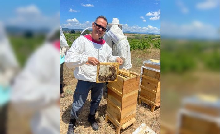 İklim değişikliği varroa hastalığının bal arıları üzerindeki etkisini artırıyor