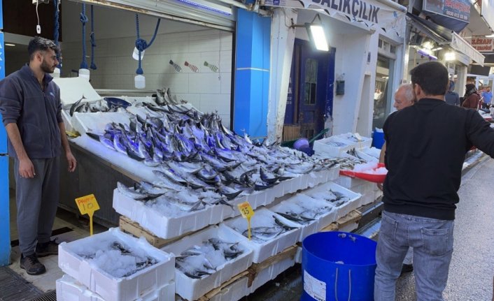 Karadeniz'de avlanan 1 kilogramlık palamutlar 35 liradan alıcı buluyor