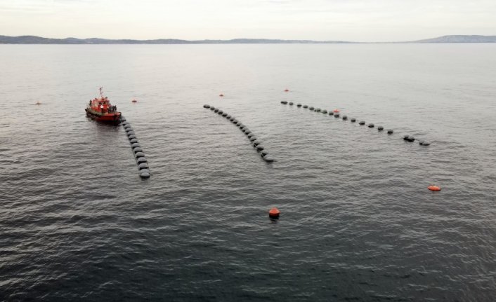 Midye yetiştiriciliğinde verimi etkileyen unsurlar Karadeniz'deki tesiste araştırılıyor