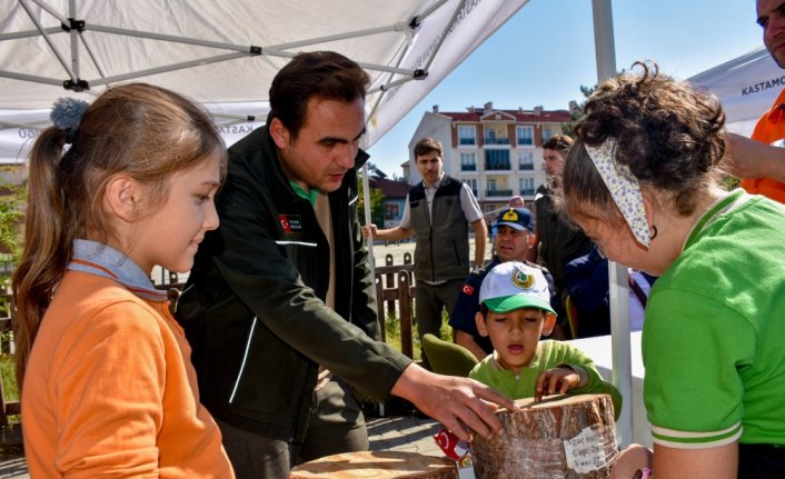 Orman Genel Müdürlüğünün 
