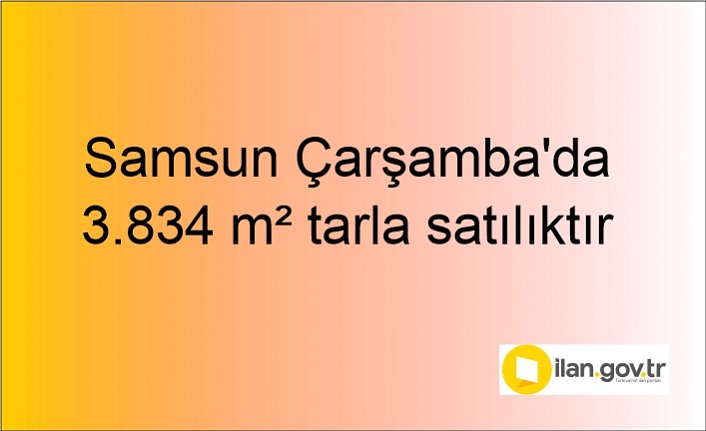 Samsun Çarşamba'da 3.834 m² tarla mahkemeden satılıktır