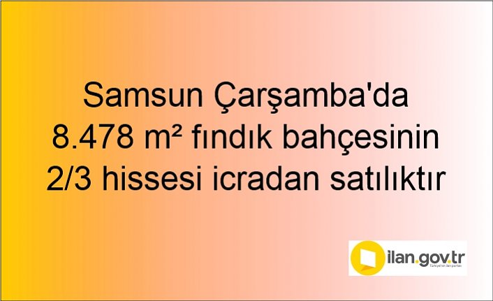 Samsun Çarşamba'da 8.478 m² fındık bahçesinin 2/3 hissesi icradan satılıktır