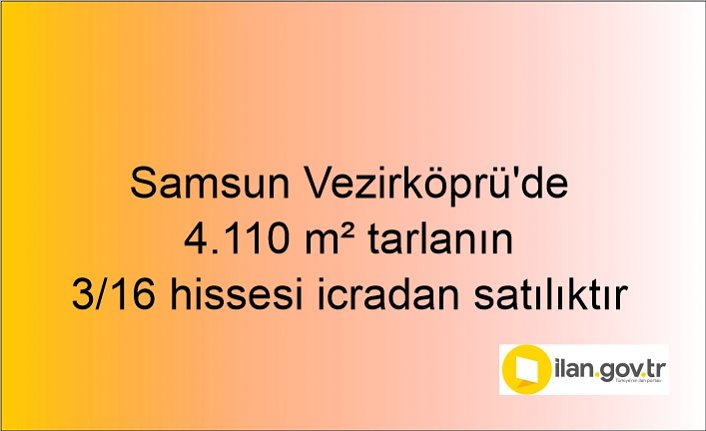 Samsun Vezirköprü'de 4.110 m² tarlanın 3/16 hissesi icradan satılıktır