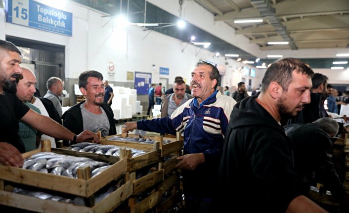 Samsun'da balık haline gelen 5 bin kasa palamut bir saatte tükendi