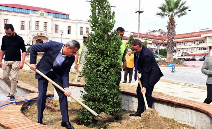 Sinop'ta Millet Bahçesi Projesi kapsamında 13 bin fidan dikilecek