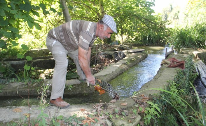 Tarihi değirmenin taşları 150 yıldır dönüyor