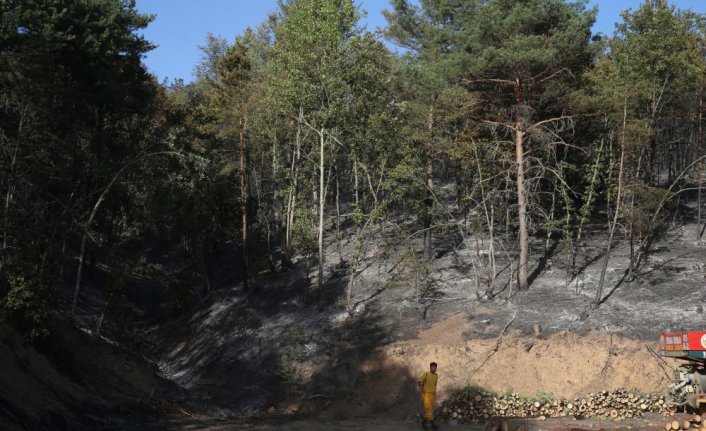 Tokat'ta çıkan orman yangını kontrol altına alındı