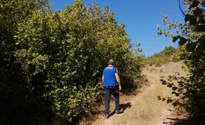 Tokat'ta kaybolan yaşlı adamın bulunması için çalışma yürütülüyor