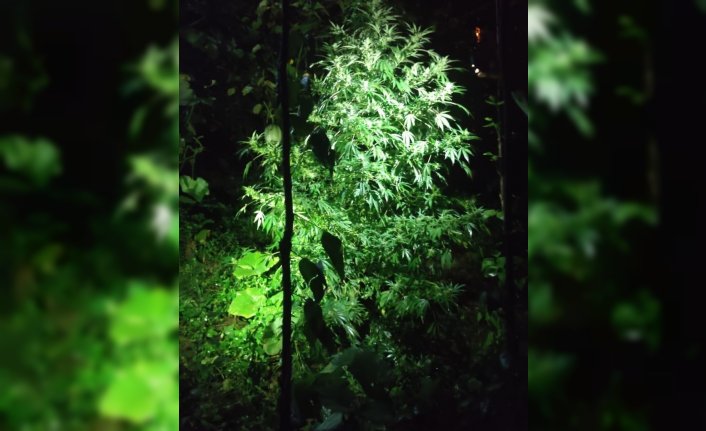 Trabzon'da uyuşturucu operasyonunda gözaltına alınan zanlı tutuklandı