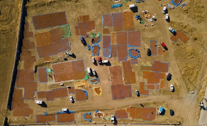 Üreticiler fındığı kurutmak için bu yıl da Şebinkarahisar'ı tercih etti