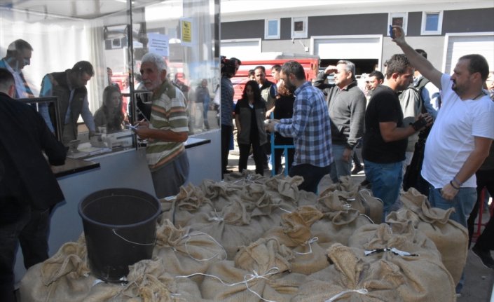 Üreticiler, TMO'nun fındık alımından memnun